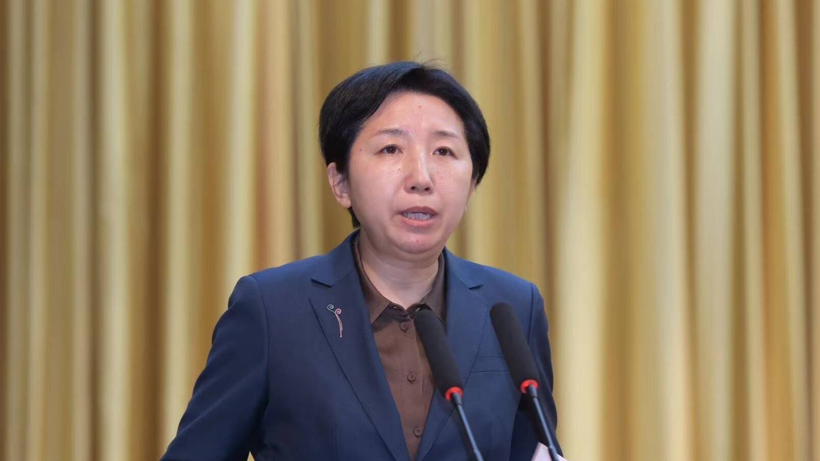 闪电号>本地>德州新闻>德州市商务局党组书记,局长夏连红发言齐河县委