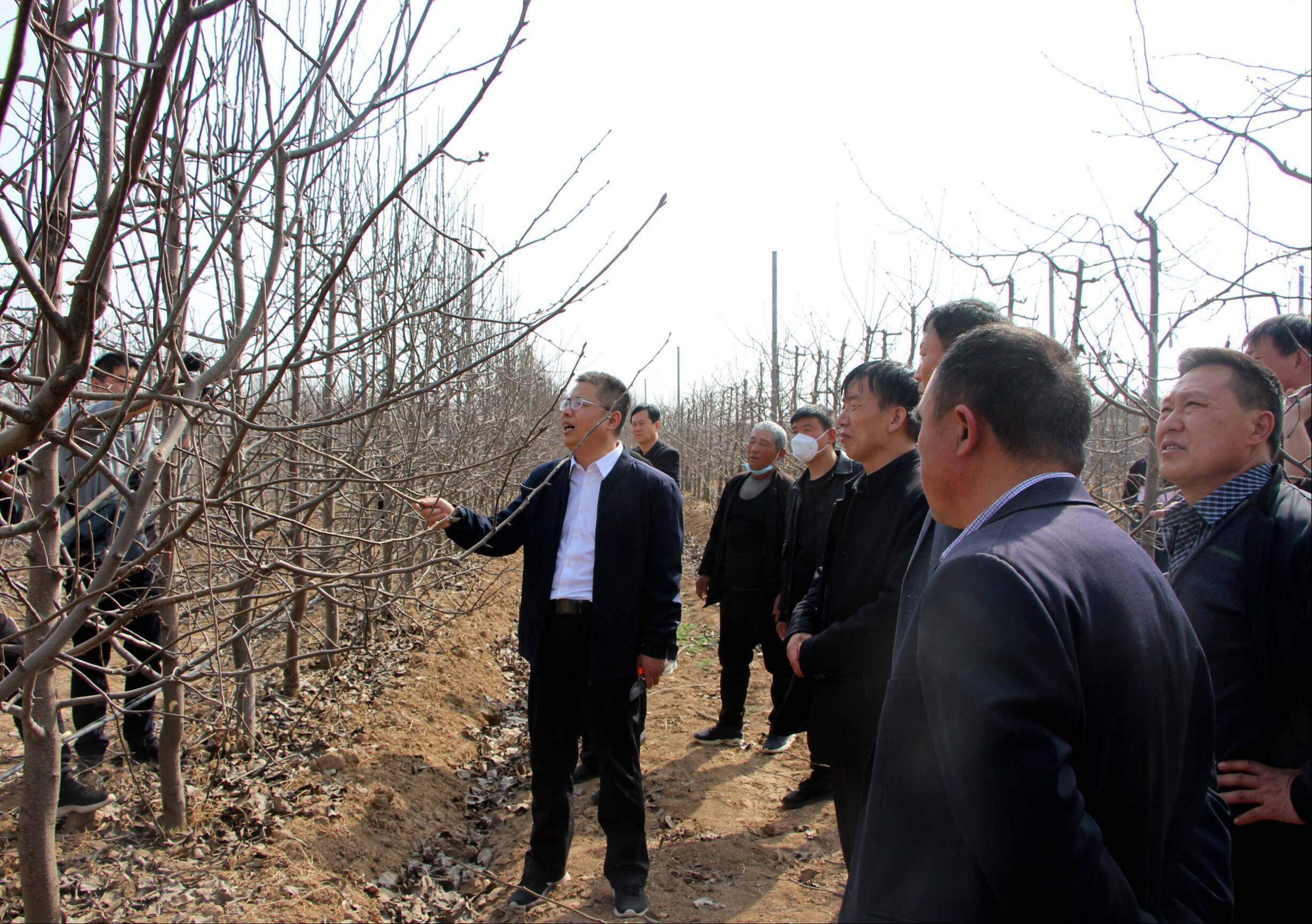 山东省助力乡村振兴行动-果树产业培训班在菏泽开班