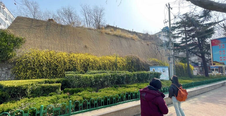 潍坊古城墙“撞”上春日美好，爱了爱了