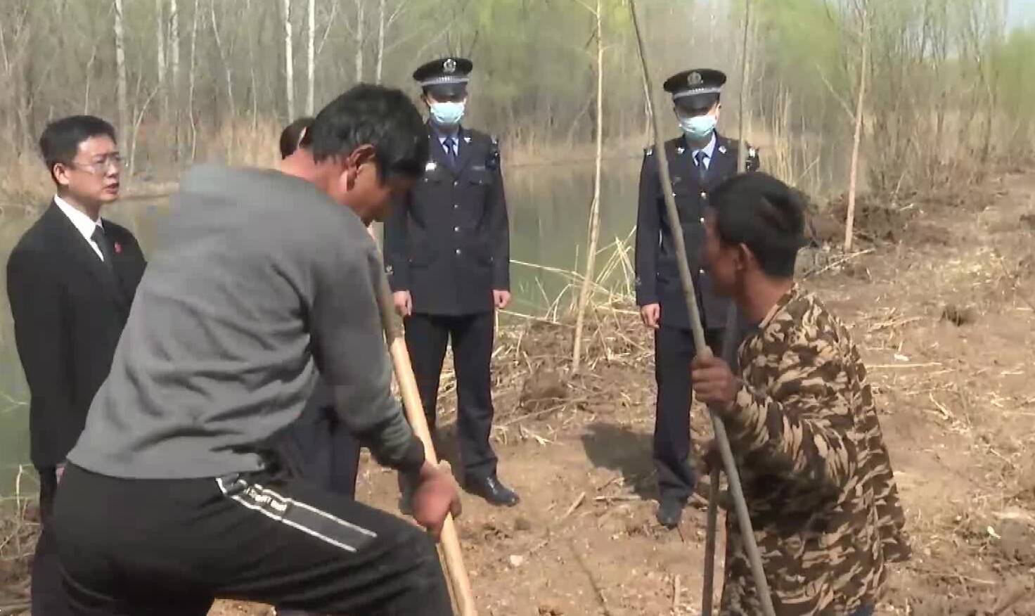 滕州俩男子非法采伐林木80余株被判处拘役罚款