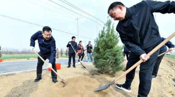 泰安市领导开展义务植树活动