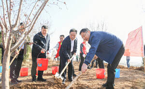 淄博市各大班子领导同志参加义务植树活动