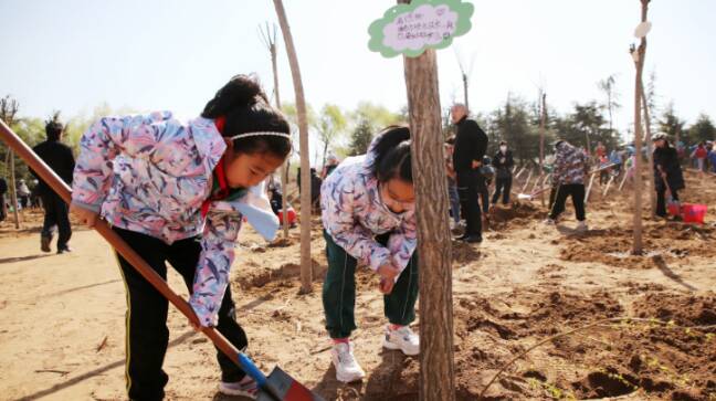 补植花灌木6.59万棵！临沂市城管局全力推进春季绿化工作