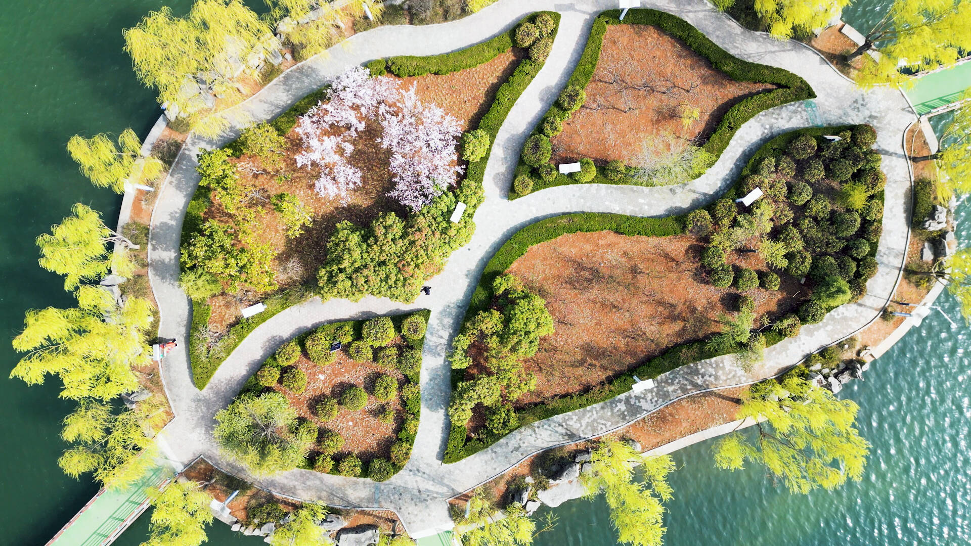 绿树葱茏春意盎然，空中视角年枣庄山亭紫云湖公园 
