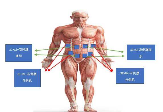 低频电刺激是什么山东省妇幼保健院：产后形体康复新利器_https://www.jmylbn.com_新闻资讯_第3张