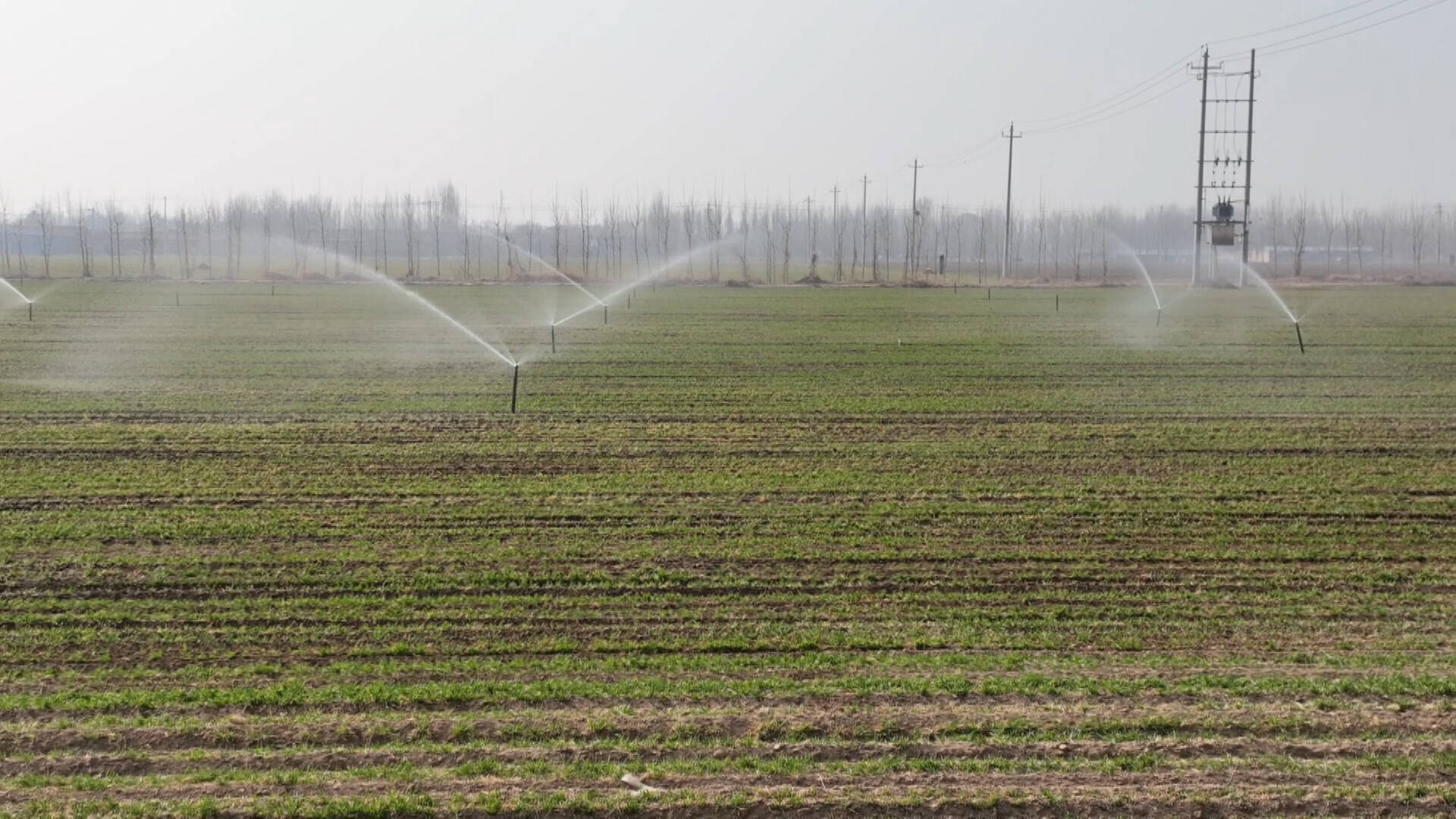 夏津：发展高效节水灌溉 拧紧农业“水龙头”