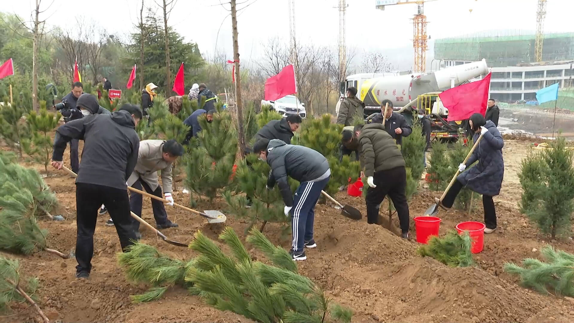 枣庄薛城开展义务植树活动 为建设生态宜居城再添新绿