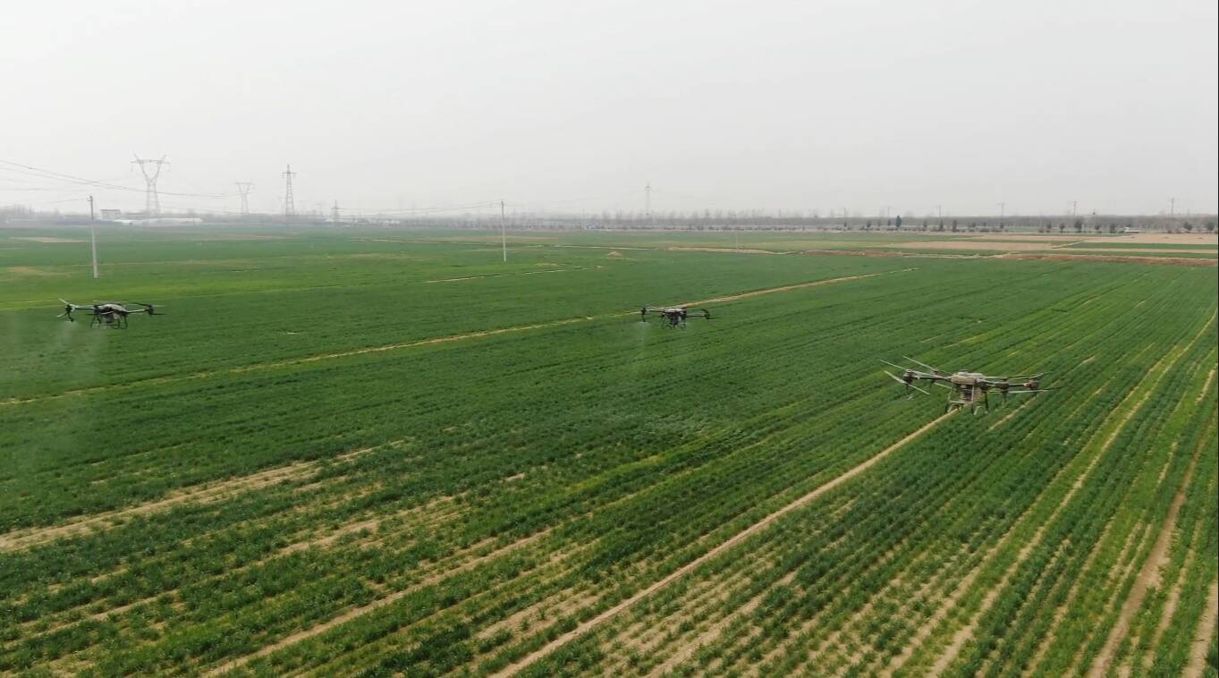 投资190万元！沂南县对全县小麦免费实施早春“一喷三防”作业