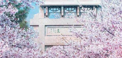 滨州春季赏花全攻略！小城最美春天都藏在这里了