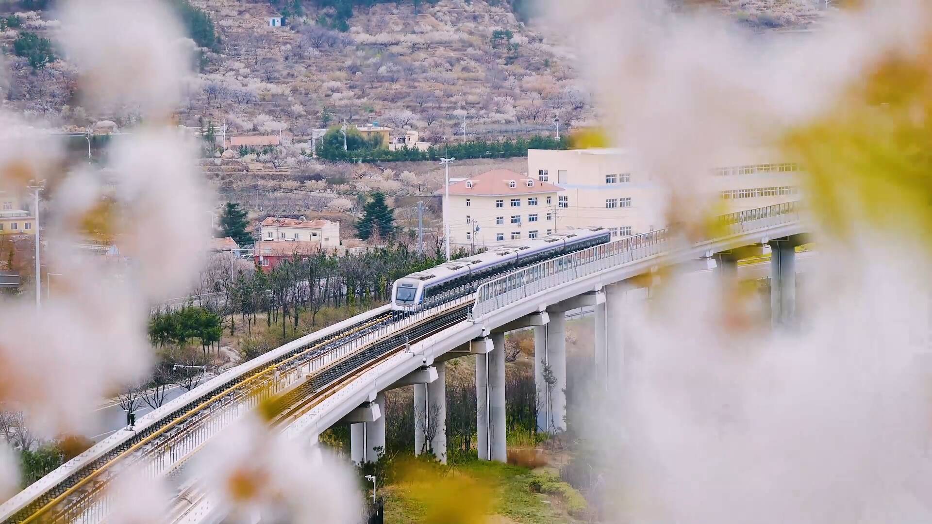 地鐵和景點同時出圈 青島打造“軌道上的旅游城市”