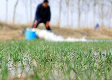 无棣县：节水灌溉让50万亩小麦喝上返青水