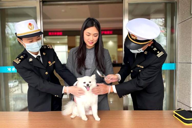 菏泽海关签发首张宠物国际旅行“护照”