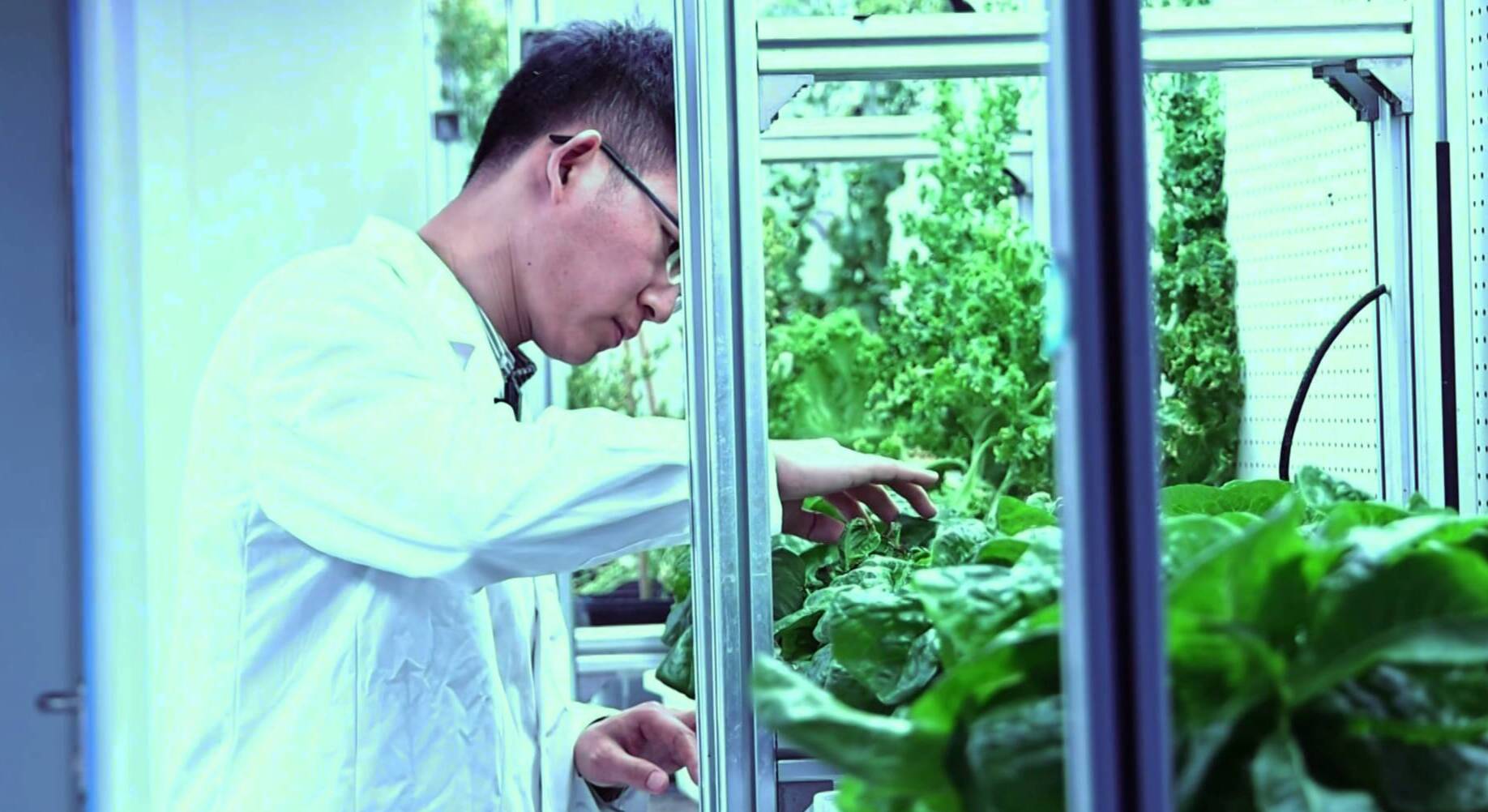 济南高新区：做强种业“芯片” 打造农业发展新高地
