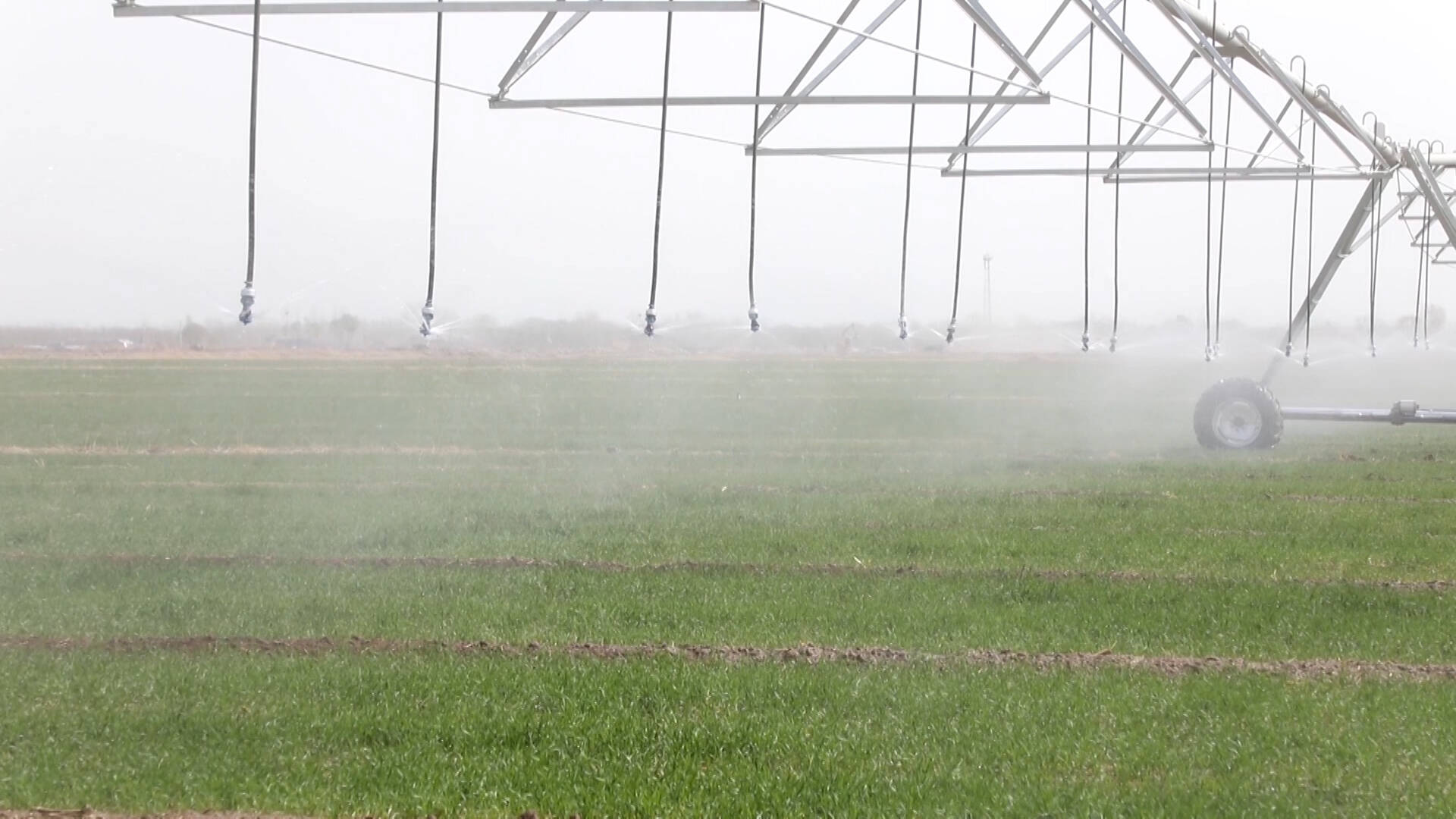 乐陵：智慧高效灌溉设备 助力粮食生产节本增效
