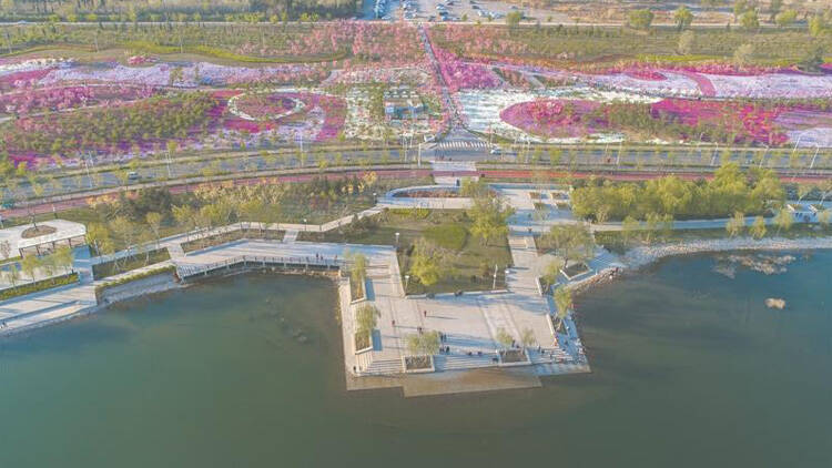 2023首届文昌湖樱花节4月1日开幕