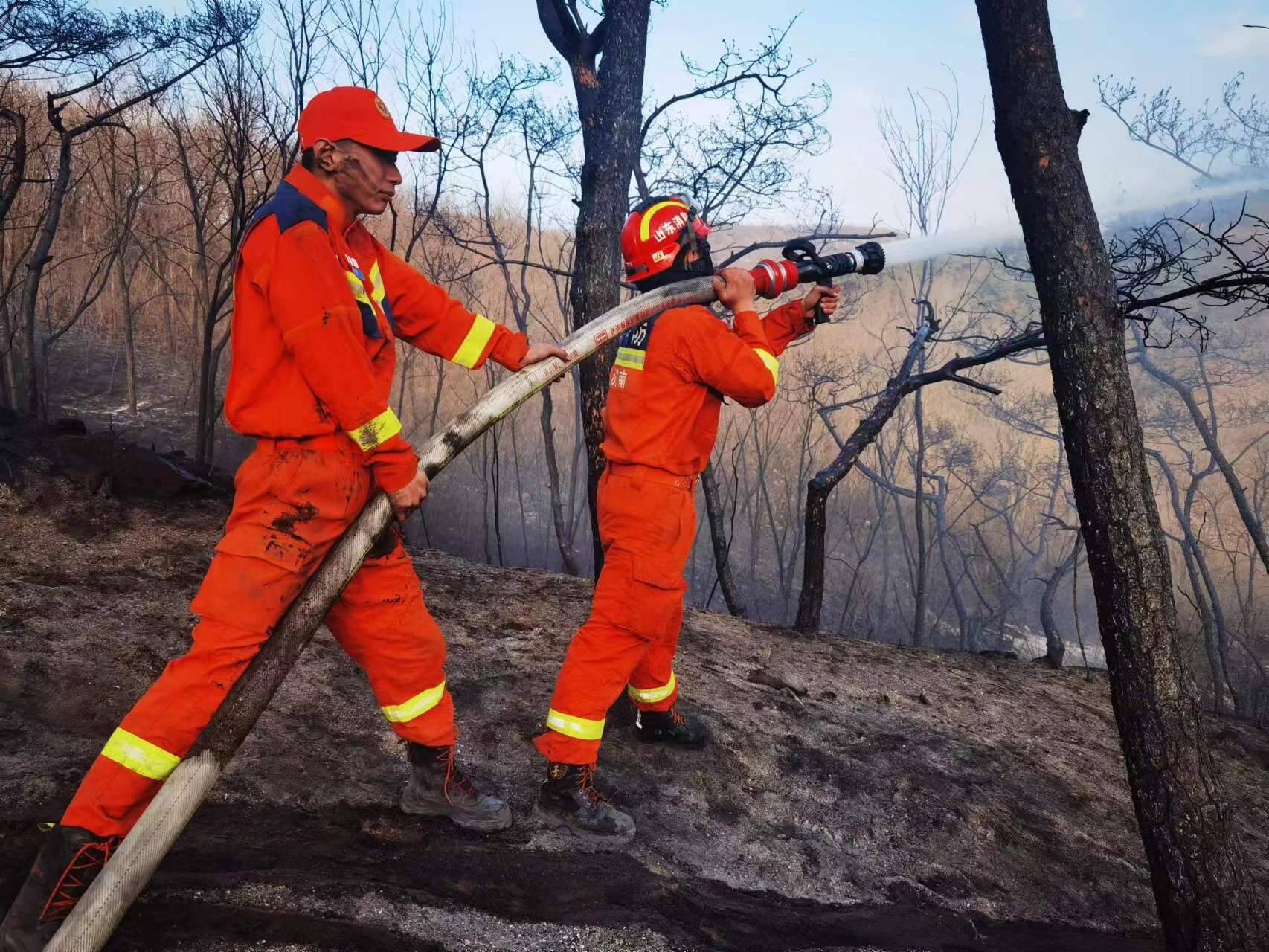 闻讯出动 迅速集结！济南消防完成鲁中协作区森林火灾跨区域实战拉动演练