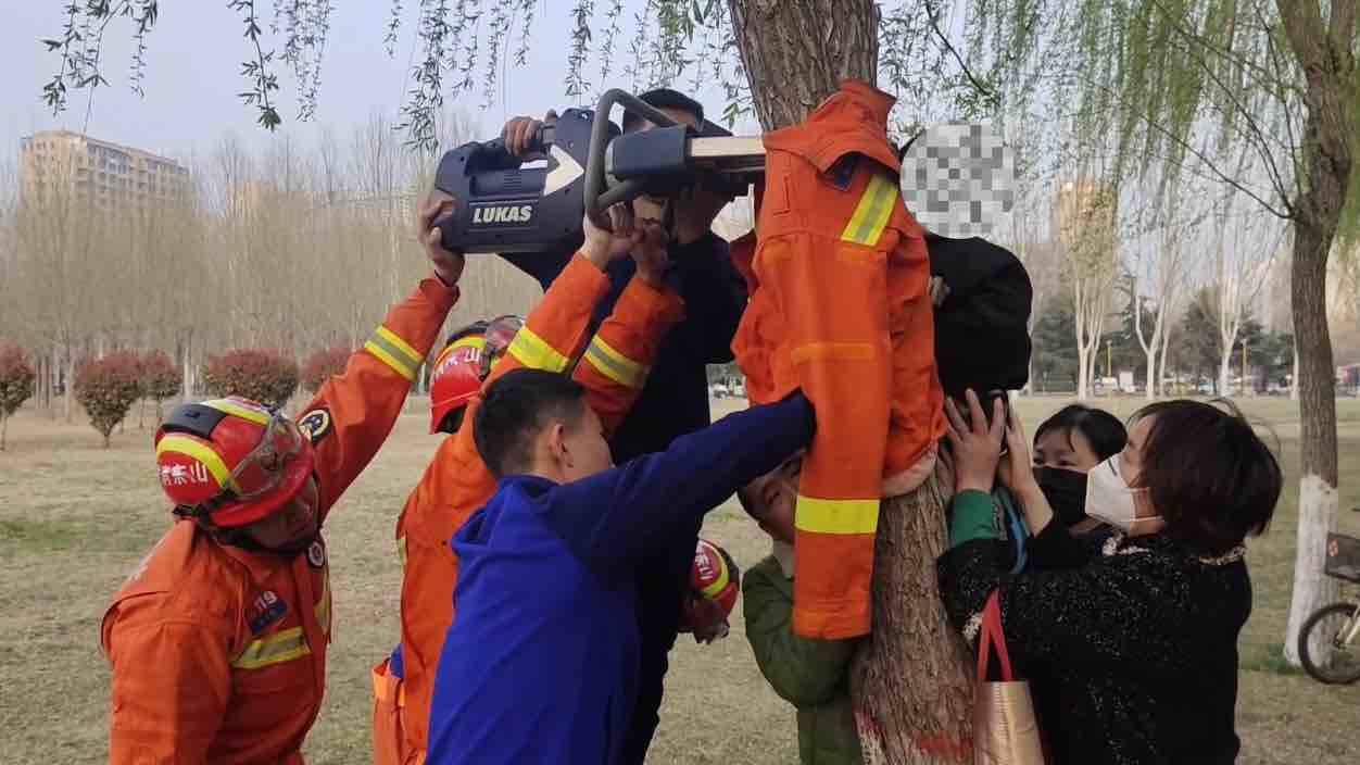 济宁：男童好奇上树被卡 消防紧急救援