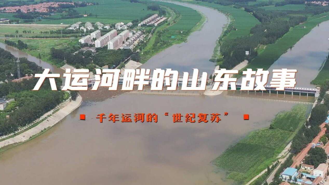 閃電評論建好大運河文化體驗廊道奮力譜寫山東高質量發展新篇章