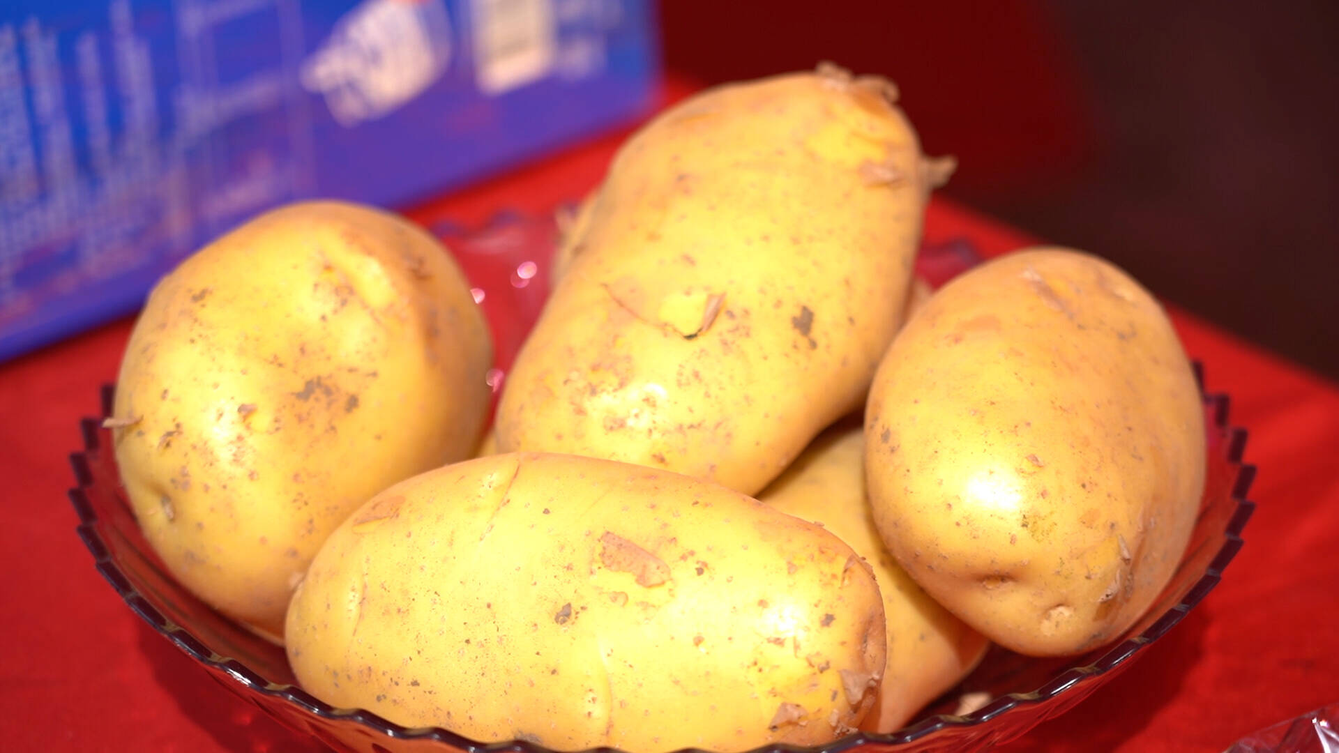 “小土豆”变“金疙瘩”！枣庄薛城三万亩“订单”马铃薯获丰收