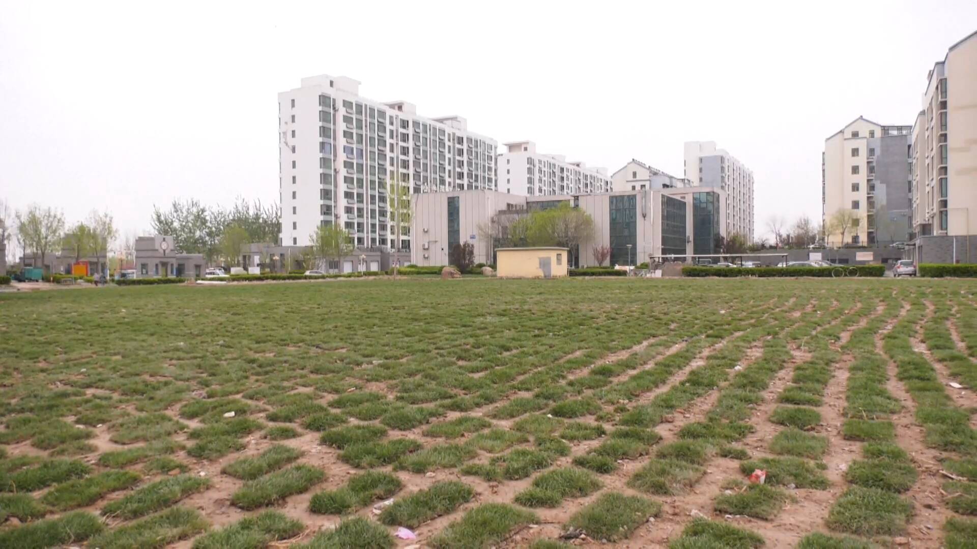 利津：闲置空地变身“休闲娱乐区” “小景”改造带来暖心“大爱”_东营民生_东营_齐鲁网