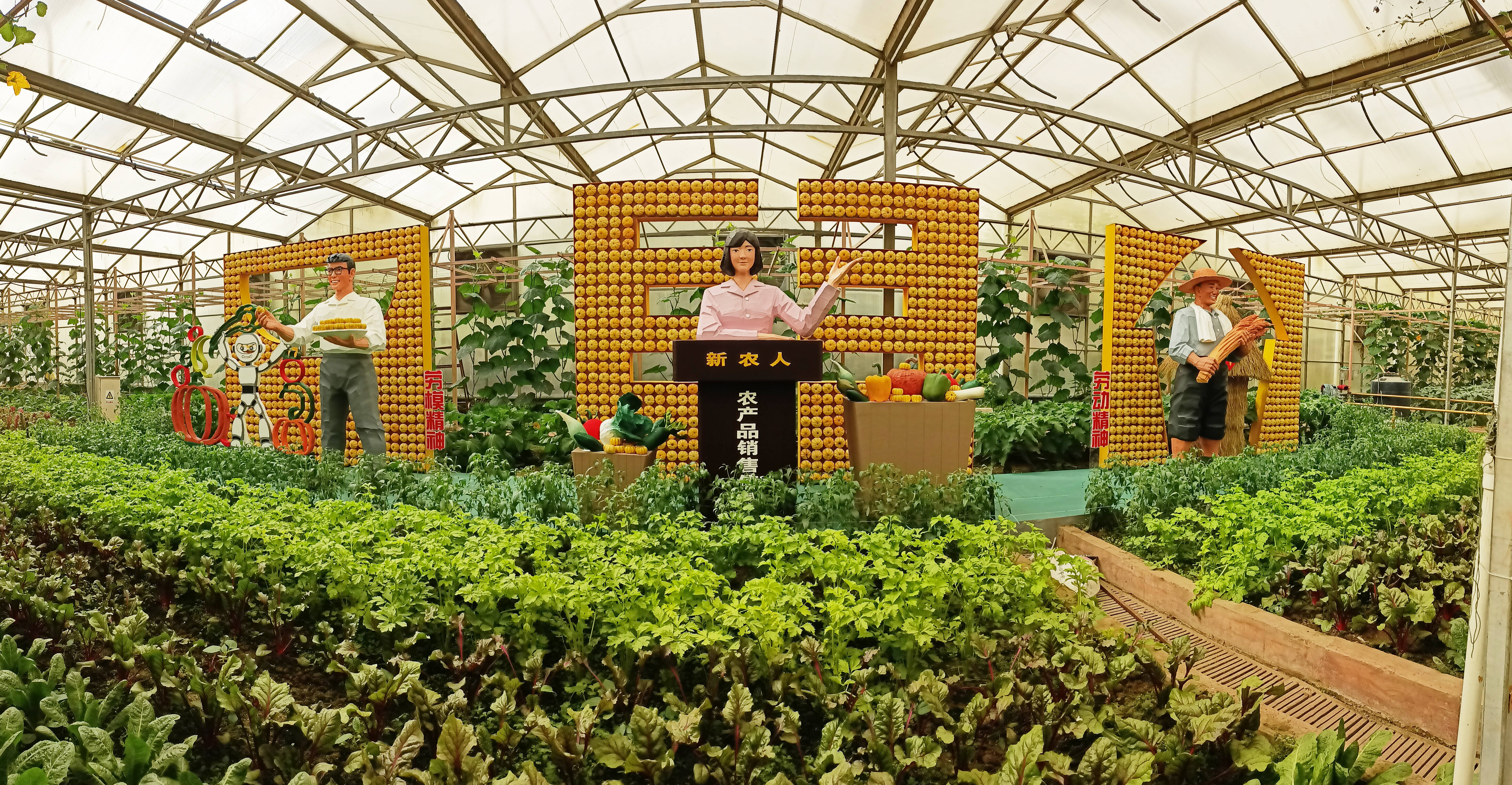 第二十四届中国(寿光)国际蔬菜科技博览会开幕 打造"夜游""夜娱""夜购