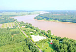 高质量发展调研行丨黄河生态保护让高青“绿满人间”
