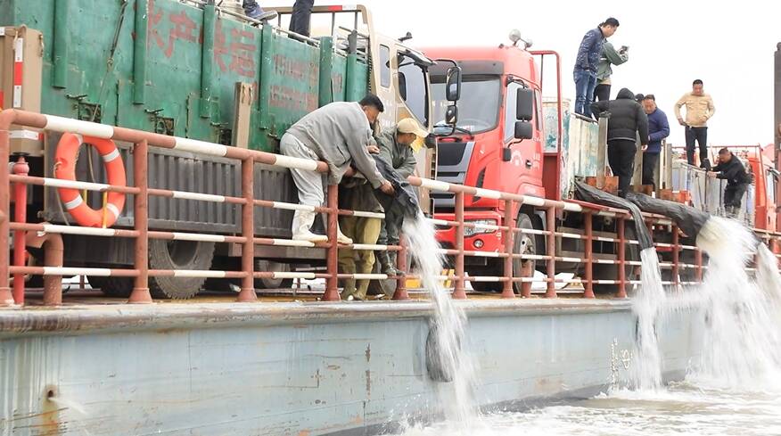增殖放流改善水质 济宁市第十一届放鱼节在微山启动