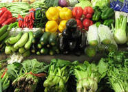 3月份泰安17个蔬菜品种7涨10降