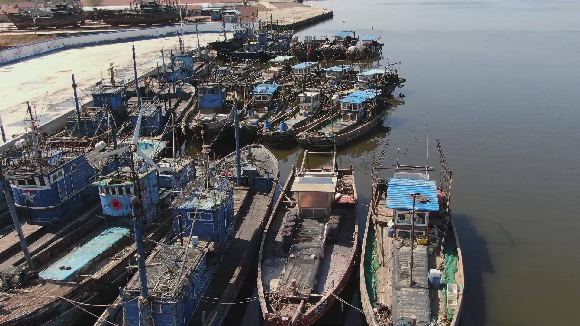 昌邑：伏季休渔即将开始 214艘渔船有序靠港