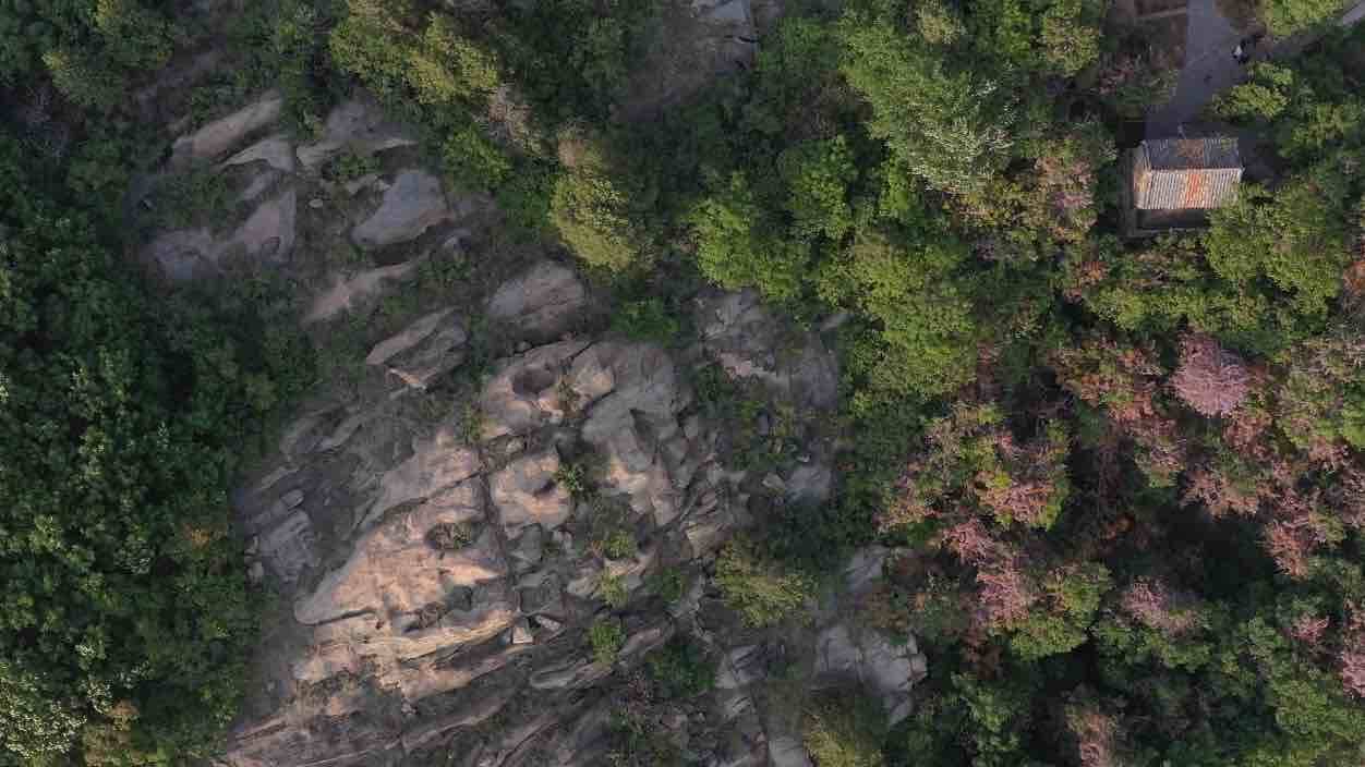 曲阜石门山“山花节”开幕啦！快到这里来赏花吧