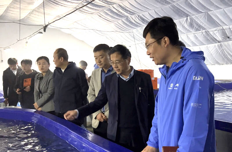 五年攻关｜山东在国内首次突破深远海名优鱼种——黄带拟鲹人工繁育和苗种培育技术