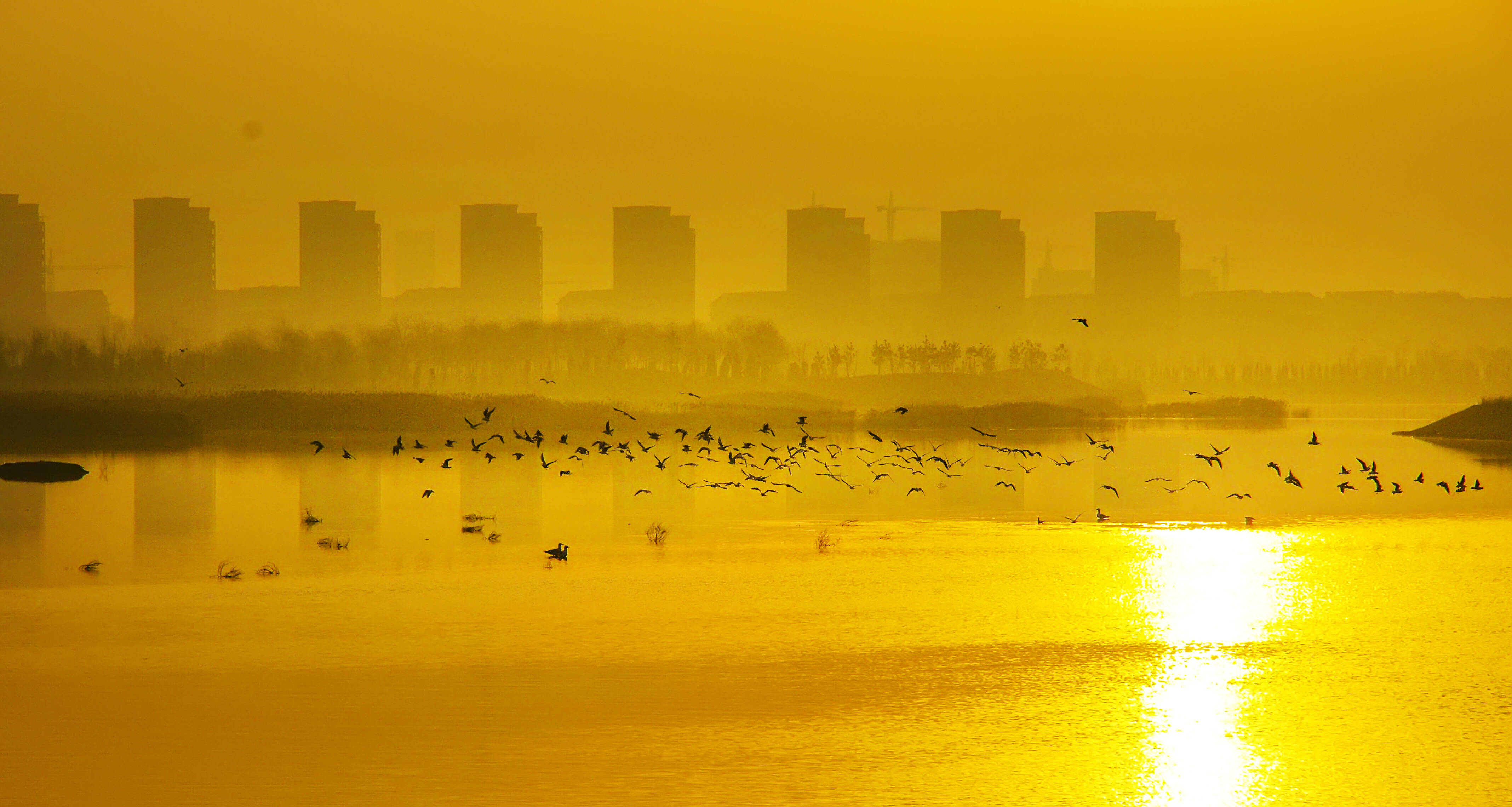 雷竞技RAYBET跑“海马”游海阳｜ 跑步就像逛风景 在跑道赏万米沙滩(图2)