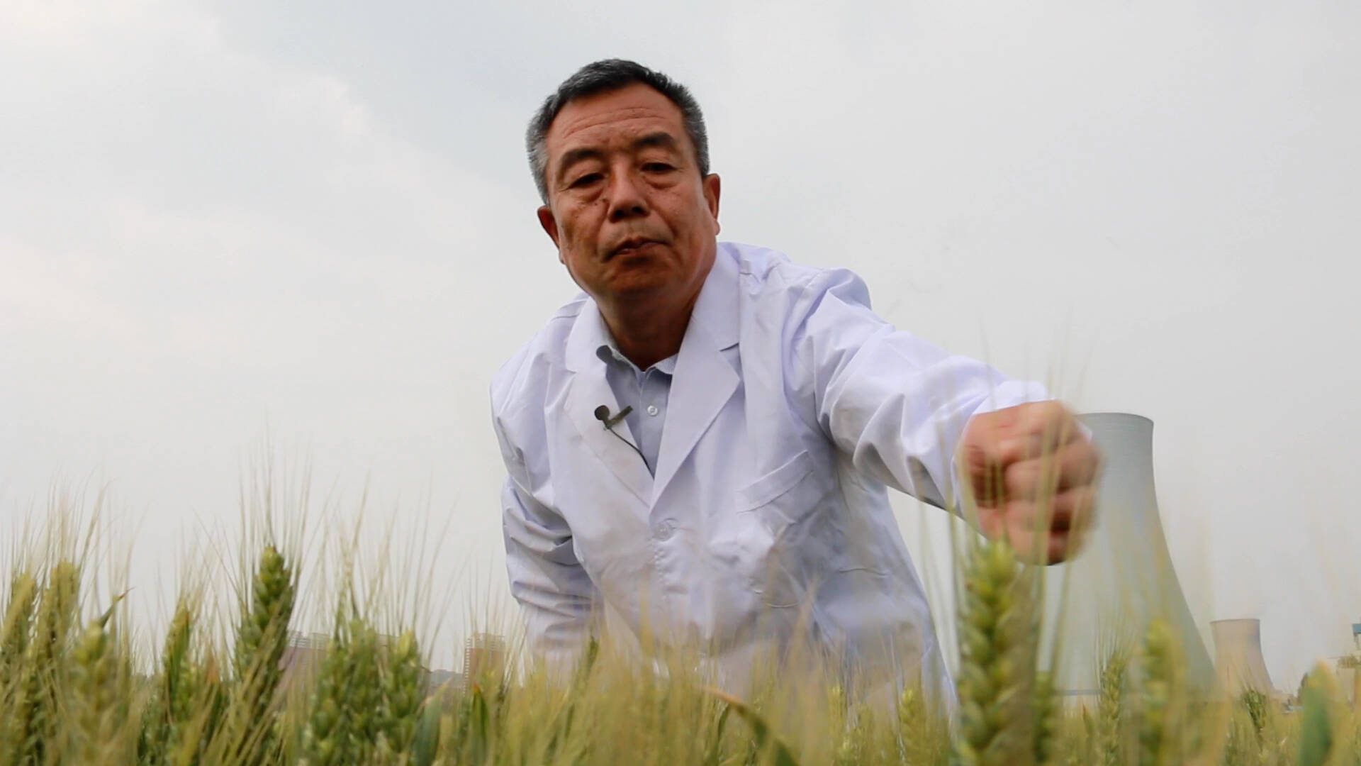 人才兴鲁展风采｜39年培育6个国审小麦品种 李新华：提高粮食总产是我的使命