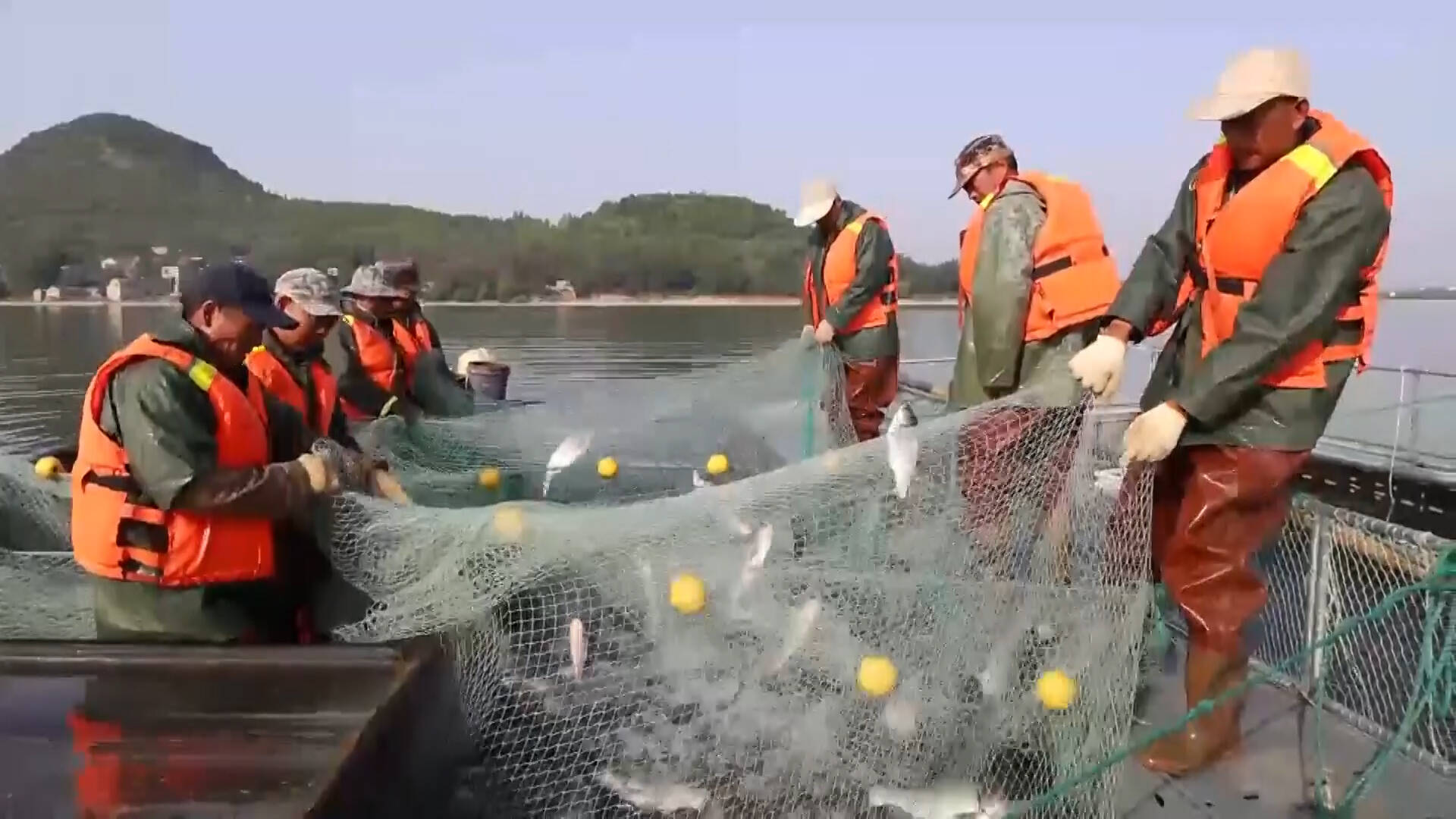 枣庄山亭发展生态渔业养殖 实现生态经济双丰收
