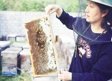 养蜂小院里酿出“甜蜜事业”