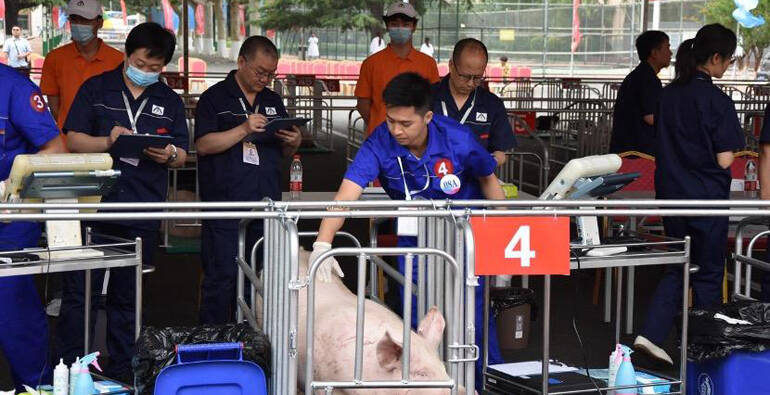 第五届全国农业行业职业技能大赛家畜繁殖赛项决赛在潍坊举行