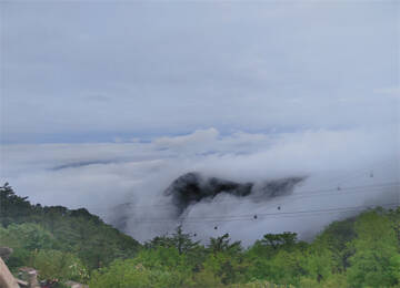 大美泰山丨烟雨笼青山 景色如墨染