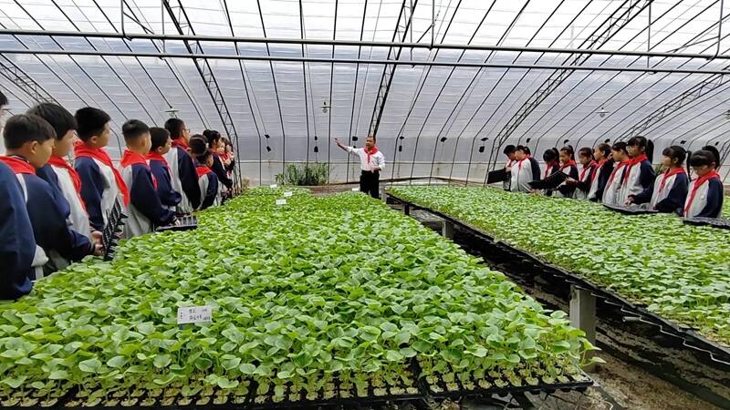 六一儿童节|聊城开展“红领巾寻访”实