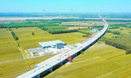 阳新高速公路黄河特大桥雏形初具