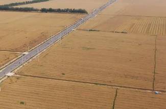 济宁：560万亩小麦开始集中收割