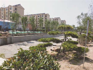 淄博中心城区城市更新大手笔瞄准东部老城 看涝淄河如何变脸
