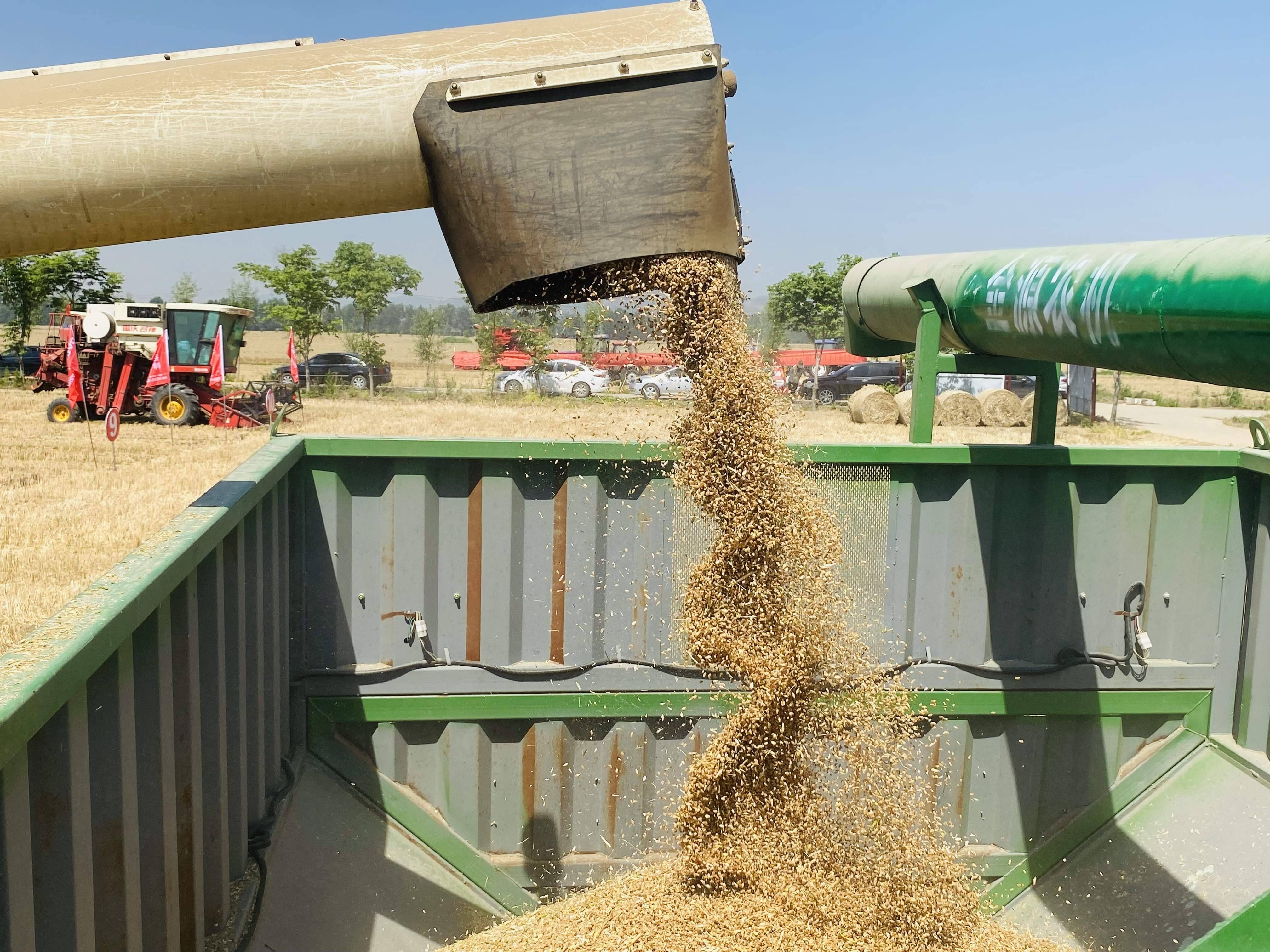 济南“三夏”生产全面展开 330万亩小麦已收获超三成