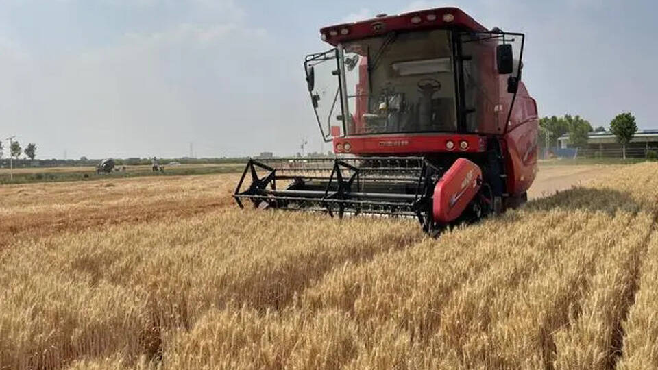 测产+收获 淄博无人农场实现麦收科技再提升