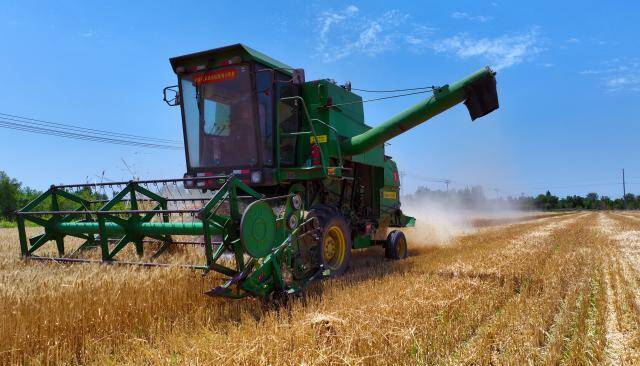 无棣64万亩小麦抢收过半