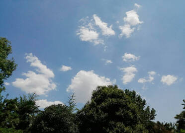 中考首日泰安短时阴有雷阵雨 15日最高气温或达37℃
