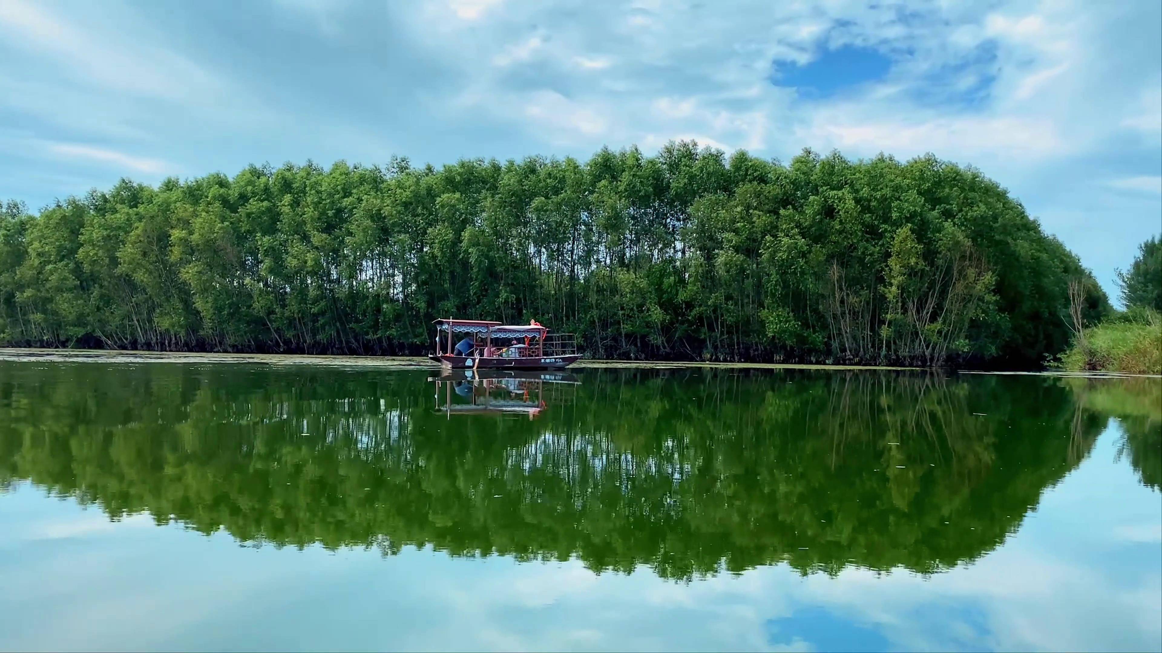 湖光山色万木葱茏 一起来东平湖寻觅治愈的夏天