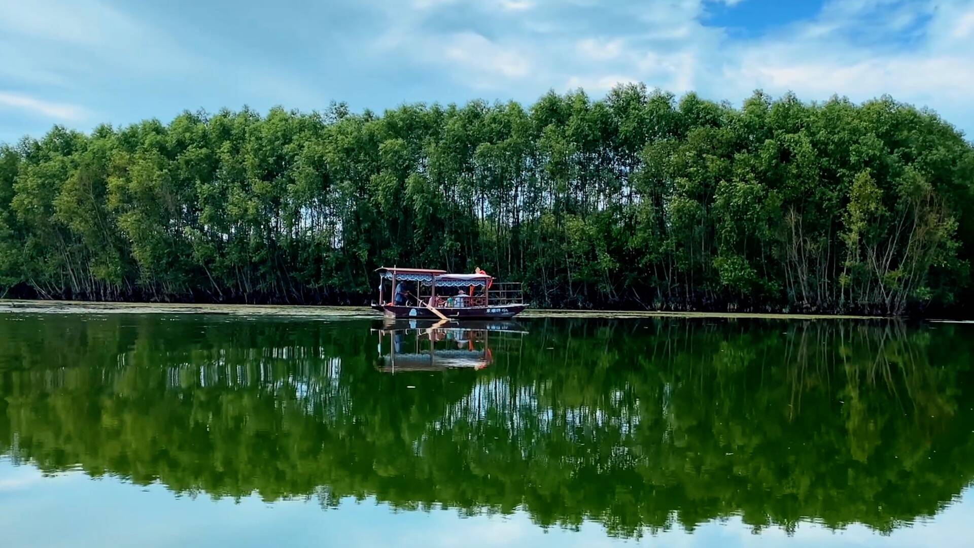 诗画山东｜一起来东平湖寻觅治愈心灵的夏天