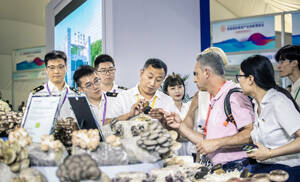 淄博海关优化服务助淄博香菇走向国际市场