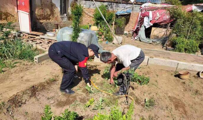 安丘市大盛镇开展罂粟踏查 确保辖区毒品原植物“零种植、零产量”
