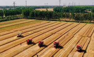 淄博市一百五十余万亩小麦收获完毕